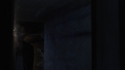 twd909_1800.jpg