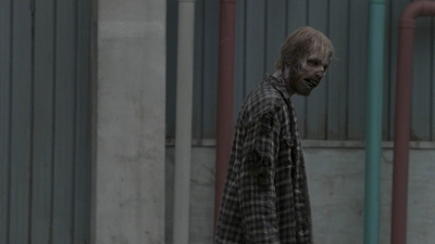 twd909_1819.jpg