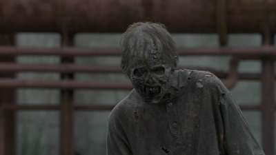 twd909_1826.jpg