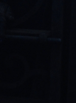 twd909_0062.jpg