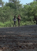 twd909_0459.jpg
