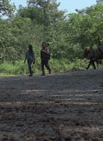 twd909_0460.jpg