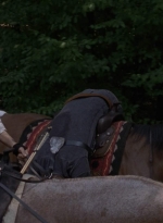 twd909_0531.jpg