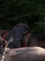twd909_0532.jpg