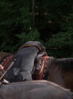 twd909_0533.jpg