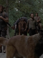 twd909_0538.jpg