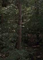 twd909_0539.jpg