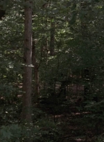 twd909_0540.jpg