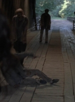 twd909_0575.jpg