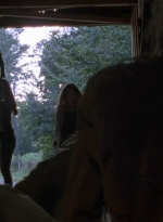 twd909_0592.jpg