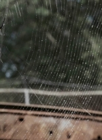 twd909_0654.jpg