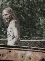 twd909_0658.jpg