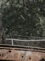 twd909_0659.jpg