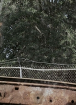 twd909_0660.jpg