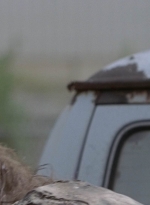 twd909_0698.jpg