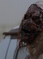 twd909_0699.jpg