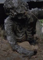 twd909_0714.jpg