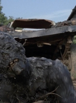 twd909_0717.jpg