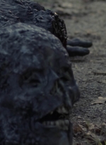 twd909_0718.jpg