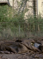 twd909_0726.jpg