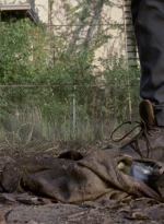 twd909_0727.jpg