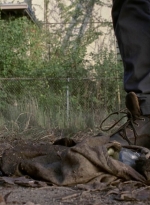 twd909_0728.jpg
