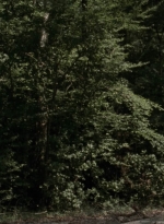 twd909_0766.jpg