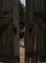twd909_0767.jpg