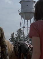 twd909_0817.jpg