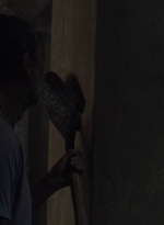 twd909_0916.jpg