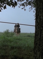twd909_1111.jpg