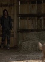 twd909_1671.jpg