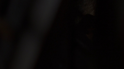 twd910_0157.jpg