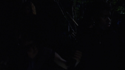 twd910_1480.jpg