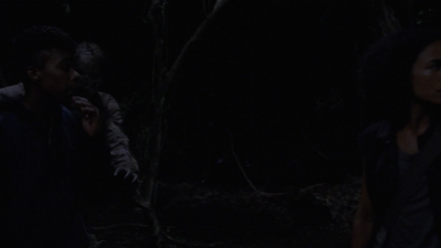 twd910_1518.jpg