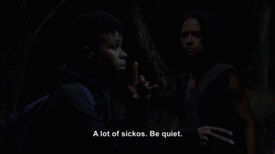 twd910_1532.jpg