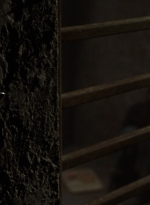 twd910_0633.jpg