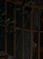 twd910_0978.jpg
