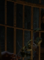 twd910_0994.jpg