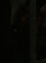 twd910_1311.jpg