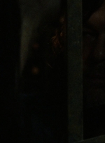 twd910_1312.jpg