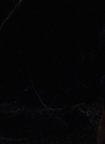 twd910_1517.jpg