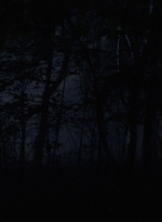 twd910_1528.jpg