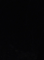 twd910_1554.jpg
