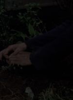twd910_1718.jpg
