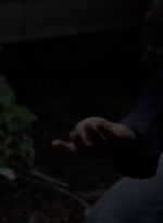 twd910_1721.jpg