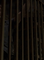twd910_2007.jpg