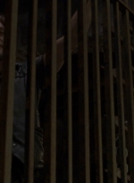 twd910_2008.jpg
