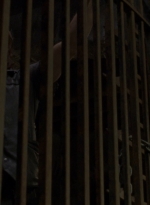 twd910_2018.jpg