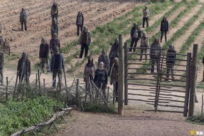 S09E11 - Bounty
